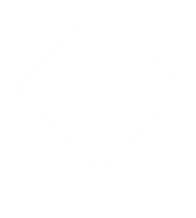 Bubble Designs Logo